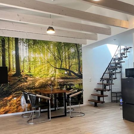 Loft Wohnung Appartement Auf 2 Etagen, Naehe Neckar ネッカーヴェストハイム エクステリア 写真